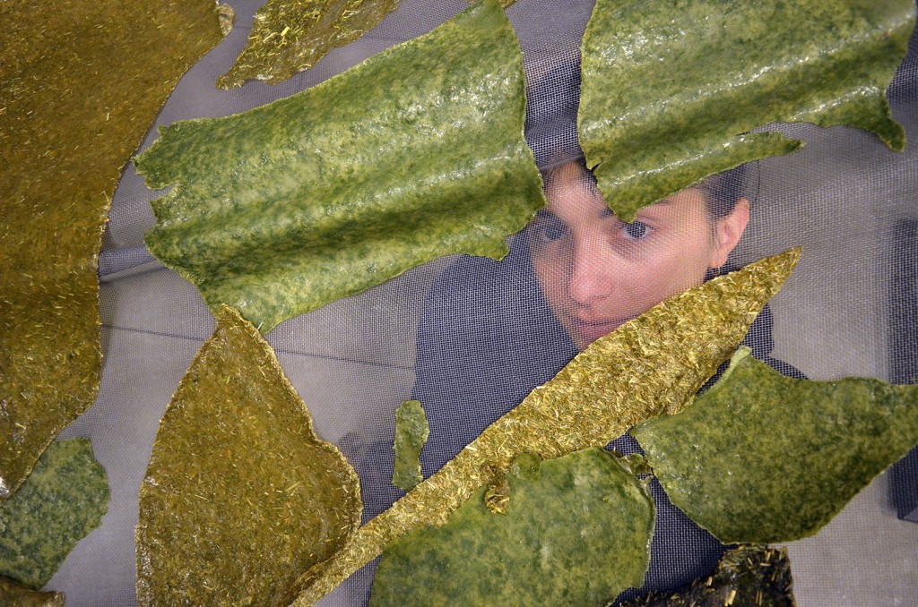 12 Paradise Marsh Maria Nalbantova work in progress reed material photo Martina Yordanova